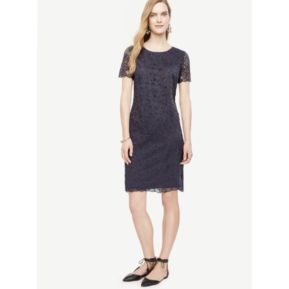 Ann Taylor Women's Blue Gray Leaf Lace Shift Dress Scallop Edge Size 12 New $139